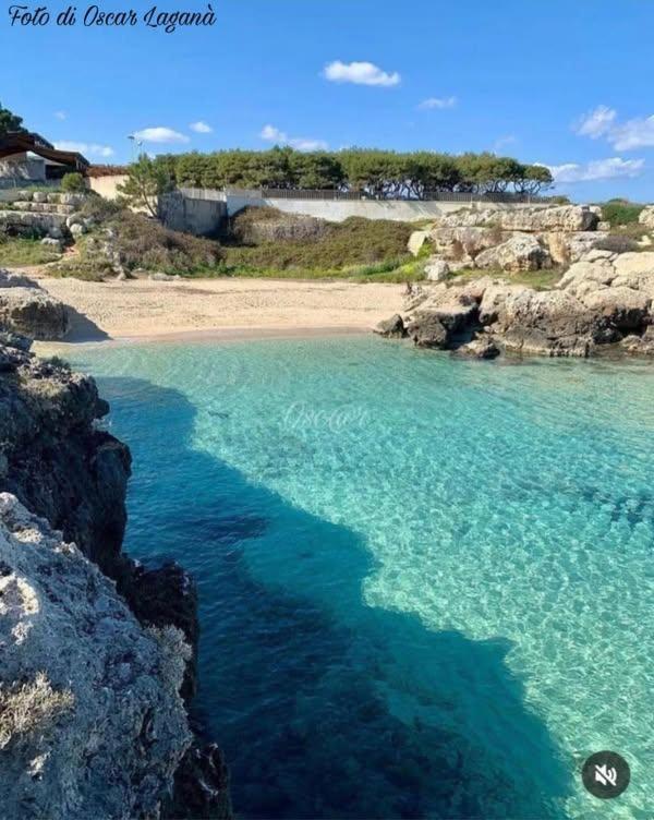 Belvedere Da Madia Monopoli Dış mekan fotoğraf